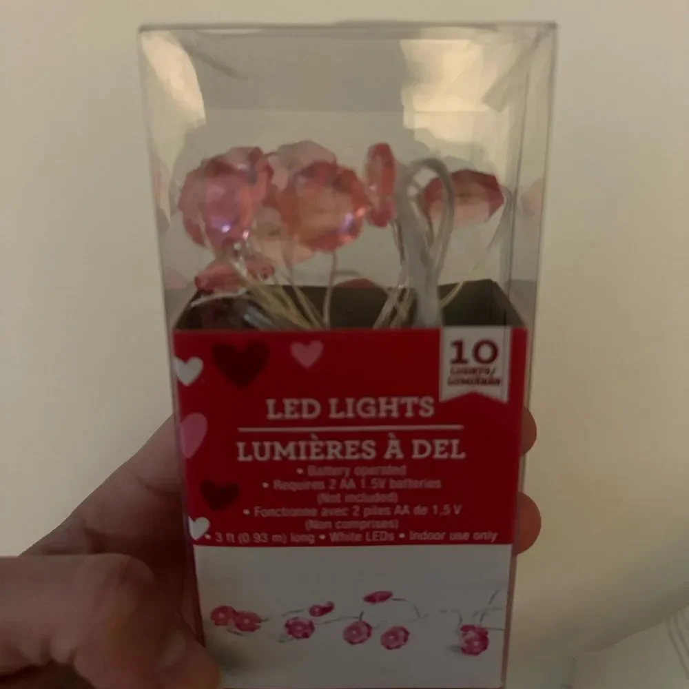 Valentine's Day LED String Lights